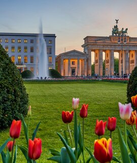 Berlin Städtereise im Frühling. Blick auf das Brandenburger Tor bei Sonnenuntergang | © Gettyimages.com/PeterJesche